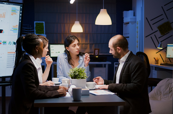 Project Advisory Services